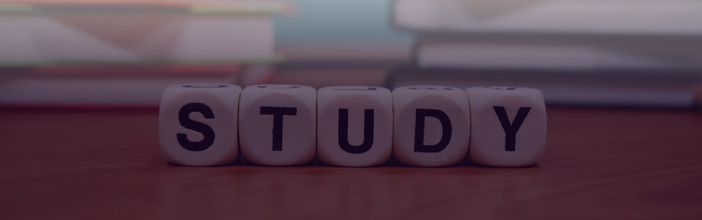 Study Abroad with Glommi: Fast Visa & Free Consultation