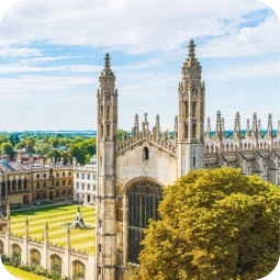 Glommi.co in Numbers