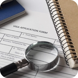 Glommi.co in Numbers