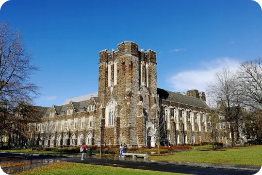 Best New Zealand Universities